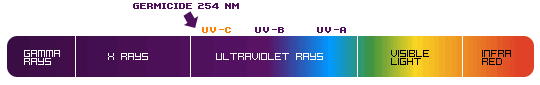 UV rays